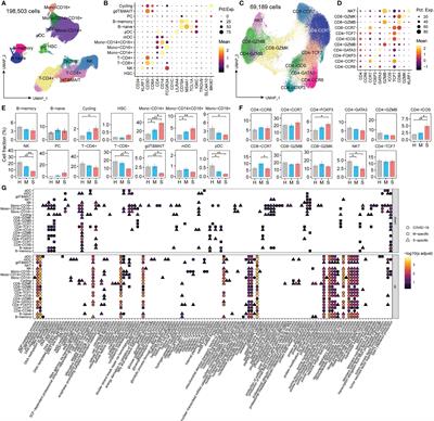 Single-Cell RNA Sequencing Analysis of the Immunometabolic Rewiring and Immunopathogenesis of Coronavirus Disease 2019
